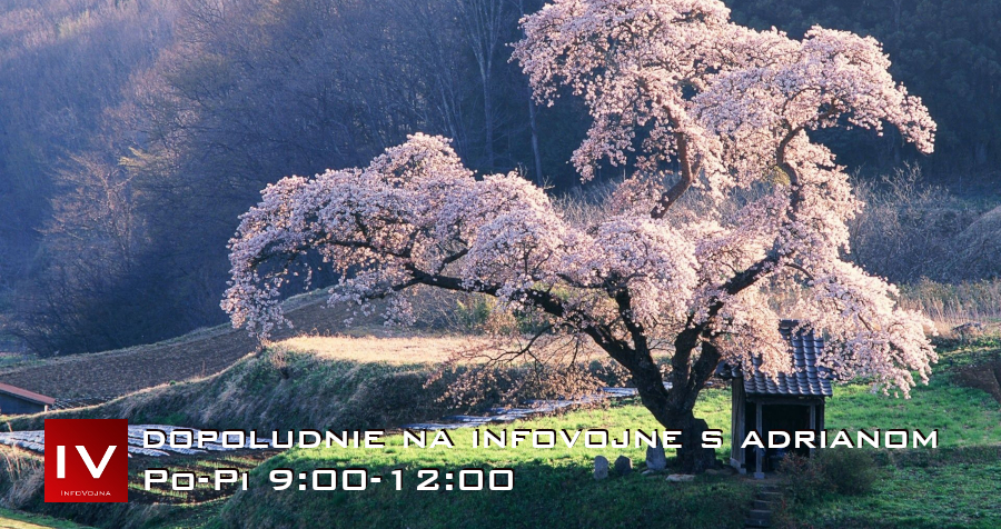Dopoludnie na InfoVojne s Adrianom 5.5.2025