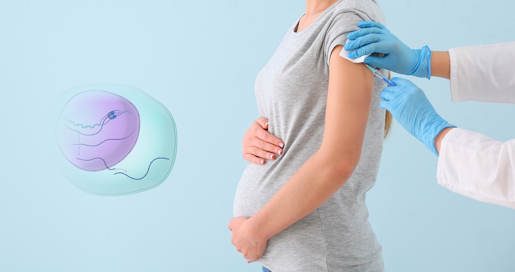 Vakcína mRNA proti covidu-19 se může „systémově šířit“ do placenty a k dětem žen očkovaných během těhotenství